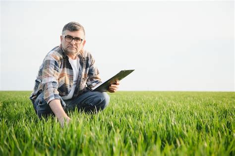 Retrato De Agr Nomo Agricultor Senior En Campo De Trigo Exitosa