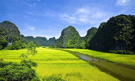 Sống động hinh anh que huong viet nam dep nhat và đầy tính thẩm mỹ