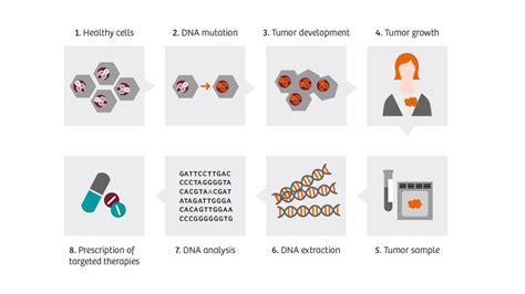 Comprehensive Molecular Profiling For Targeted Cancer Therapy