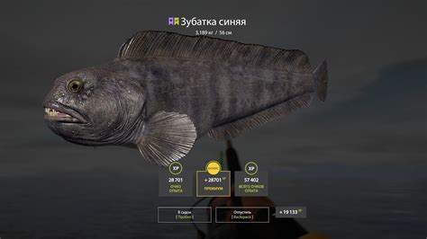 Русская Рыбалка 4. Норвежское море (№69). В поисках редких видов ...