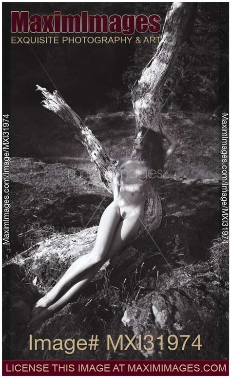 Photo Of Beautiful Naked Woman Lying On A Trunk Of A Tree In The Nature Black And White Art Nude