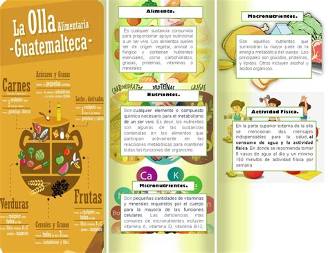 Triforial Nutri Alimento Es Cualquier Sustancia Consumida Para