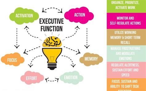 Executive Function Activities For Adults