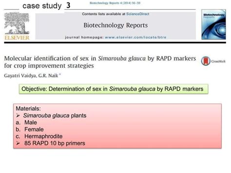 Sex Determination Mechanisms In Plants Pptx Reproductive Health Diseases And Conditions