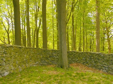 Tree Surrounded Storm King Wallandy Goldsworthys First M Flickr