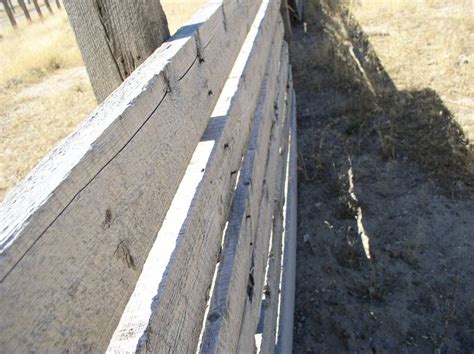 Photo 14257 2 Alpine Fir Fencing