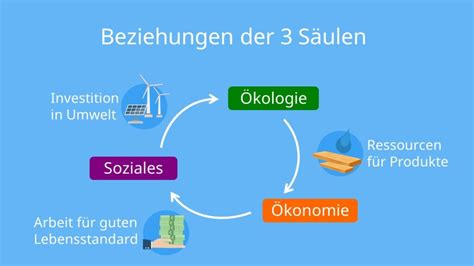 S Ulen Der Nachhaltigkeit Definition Beispiele Kritik Mit Video