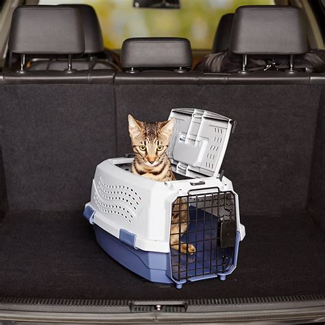 Transportín RÍGIDO para gatos5 ventajas Mimo mi minino