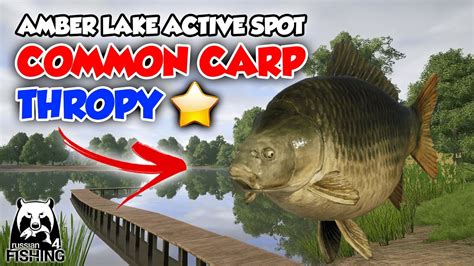 Common Carp Thropy From Amber Lake Active Spot January Russian