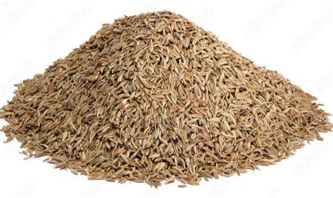 Brown Cumin Seeds Packaging Type Loose At Rs 800 Kg In Noida ID