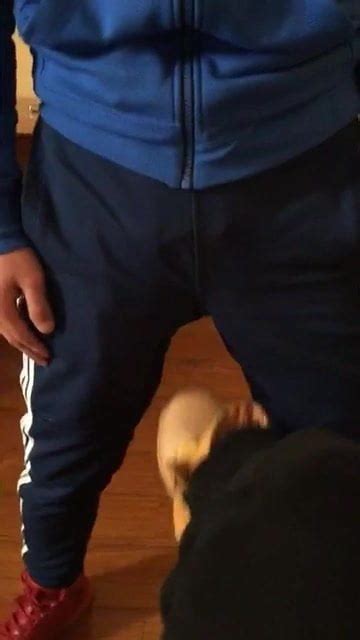 Ballbusting Gay XHamster