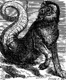 aamon demonologia mitologia cristiana amon