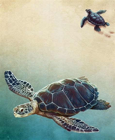 Loggerhead Sea Turtle