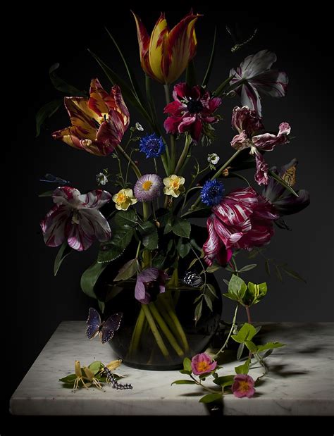 Bas Meeuws Contemporary Dutch Flower Still Life Photography Цветочное искусство Фотография