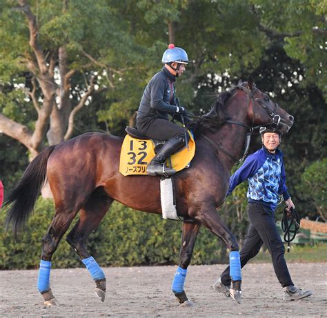 ノースブリッジ2歳暮れから放牧出さず美浦に在厩 工藤厩務員「春より力つけている」／毎日王冠 競馬写真ニュース 日刊スポーツ