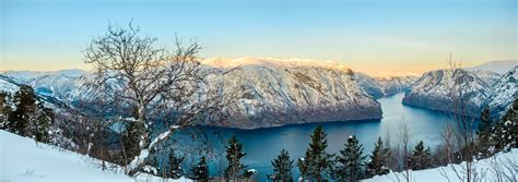 Snowshoe Hike — Fjordsafari