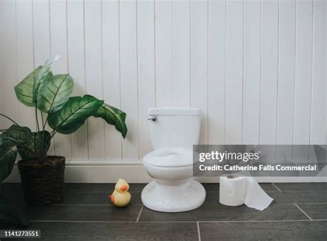1,916 Potty Stock Photos, High-Res Pictures, and Images - Getty Images