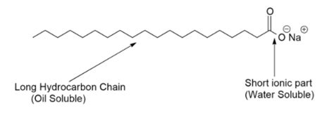 Soap Molecule Structure