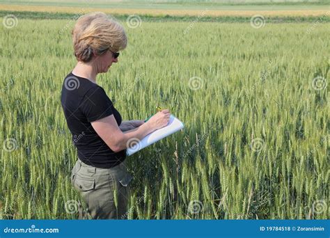 Agronomy Stock Photo Image Of Occupation Harvest Farm 19784518