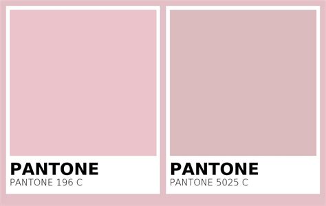 Color Pantone 196 C Vs Pantone 5025 C Side By Side