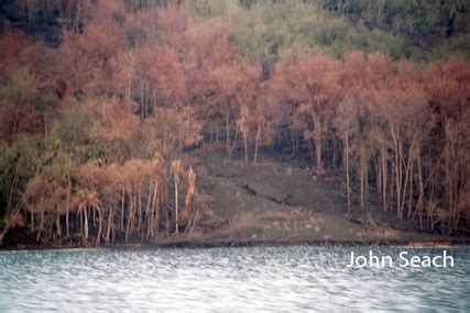 Manam Volcano Photos, Papua New Guinea - John Seach