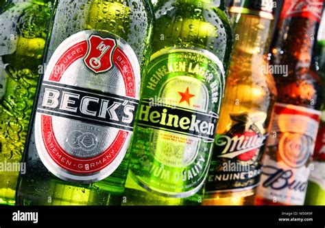bottles  assorted global beer brands stock photo alamy
