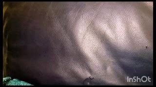 Free Bra Porn Videos From Thumbzilla