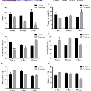 Effect Of Pfoa On The Ovary Morphology And Oocytes Maturation A