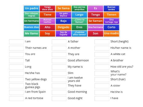 Spanish Key Vocab Match Up