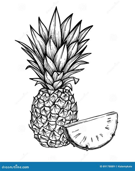 Hand Drawn Vector Illustration Pineapple Exotic Tropical Fruit Sketch Outline Stock