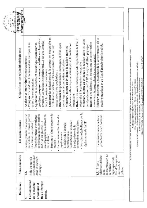 Cadre De Référence De L Examen National Svt Sciences Physiques Alloschool