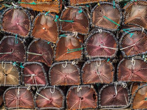 Lobster fishing traps stock image. Image of pilled, spain - 38543583