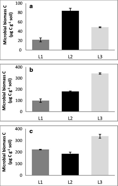 Microbial Biomass C In The Soil Amended With And Without Biochars At