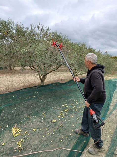 Mise Jour Des Horaires Douverture Moulin Les Gens D Olive