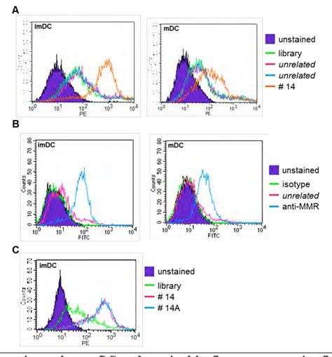 Figure 3 From Prostate Cancer Immunotherapy By Targeting Dendritic