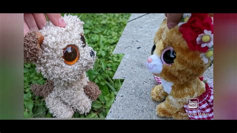 Dynasty Beanie Boo Music Video Youtube