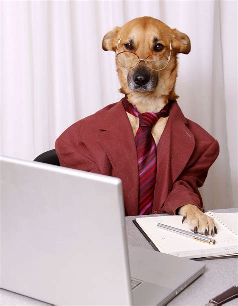 business dog Blank Template - Imgflip