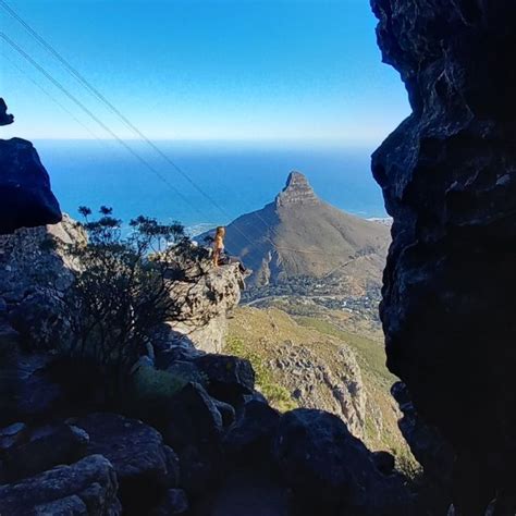 Cape Town India Venster Table Mountain Hike