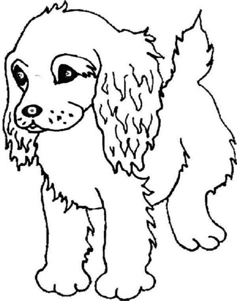 Top Pictures Of The Most Beautiful Dog Coloring For Children