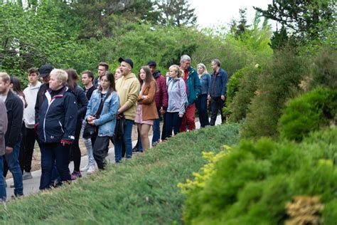 Spacer Z Przewodnikiem Po Ogrodzie Botanicznym Umcs O Drzewach W