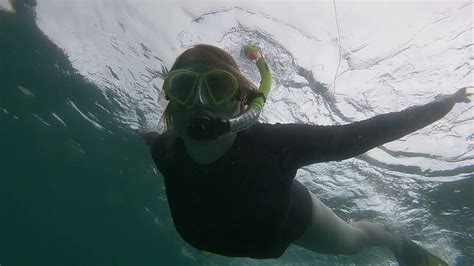 Snorkeling In La Jolla YouTube