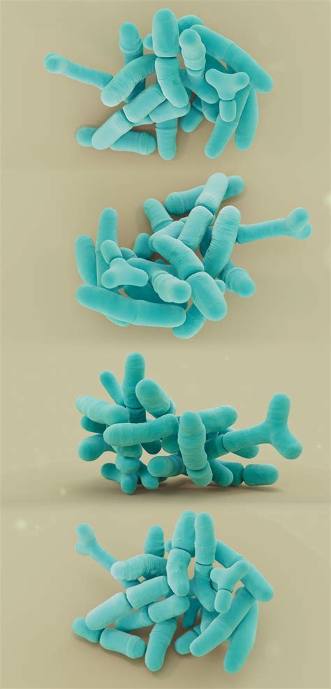 Bifidobacterium :: Behance