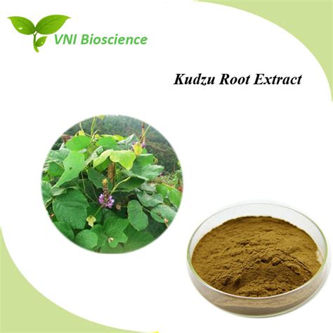 Kosher Halal Certified Natural Kudzu Root Extract China Kudzu