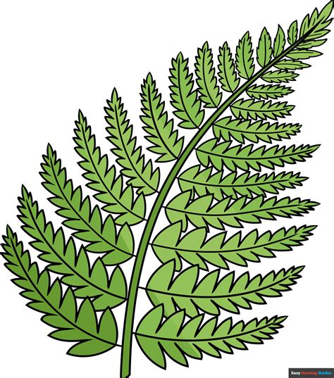 How To Draw A Fern Really Easy Drawing Tutorial