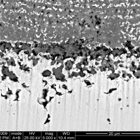 Cross Sectional Morphologies Of 316 SS Corroded At 973 K In Li Na K 2