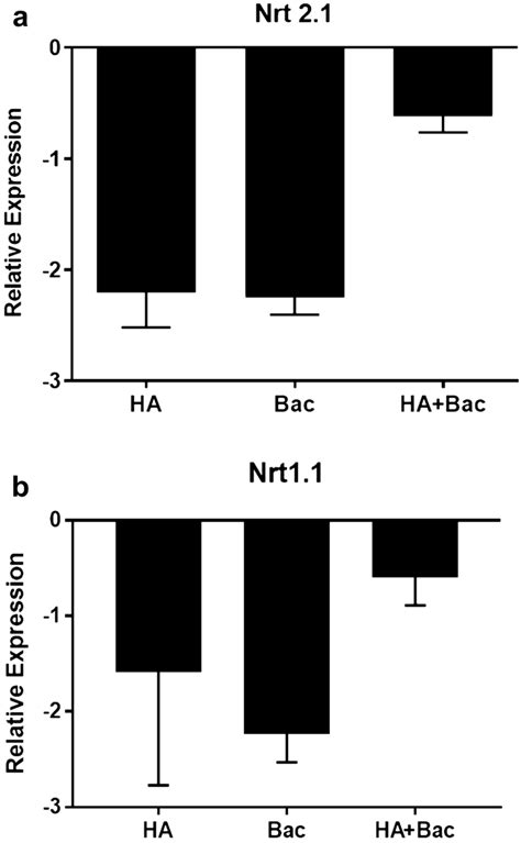 Relative mRNA expression of the a low-affinity nitrate transporter ... 