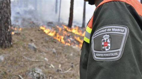 La ley de creación del cuerpo de agentes forestales en Madrid