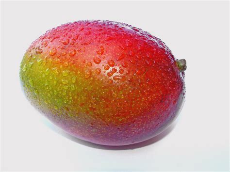 Fresh Indian Mango - Fresh Indian Mango Exporter, Manufacturer ...