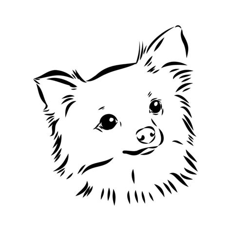 chihuahua vector sketch 8686548 Vector Art at Vecteezy