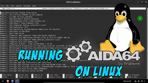 Running Aida On Linux Youtube